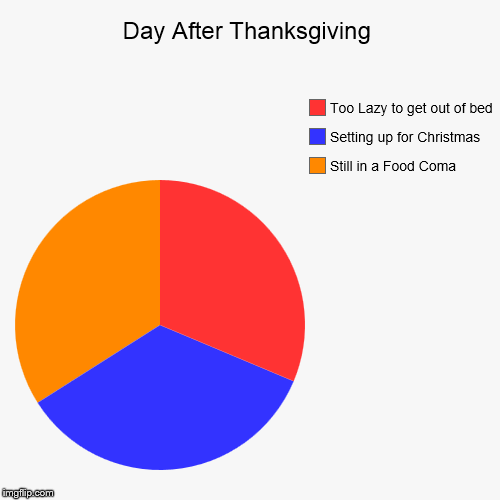 image tagged in funny,pie charts | made w/ Imgflip chart maker