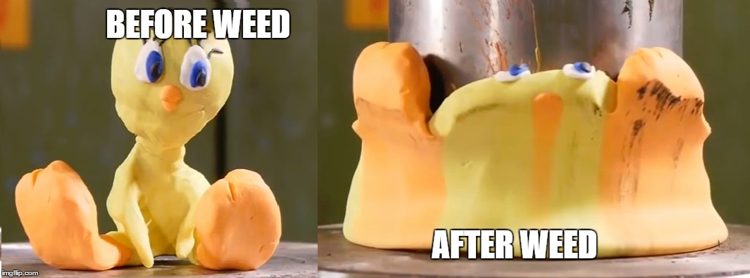 Weed does some strange stuff to ya | BEFORE WEED; AFTER WEED | image tagged in funny,memes,weed,drugs,drugs are bad,before and after | made w/ Imgflip meme maker