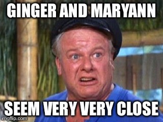 Skipper | GINGER AND MARYANN SEEM VERY VERY CLOSE | image tagged in skipper | made w/ Imgflip meme maker