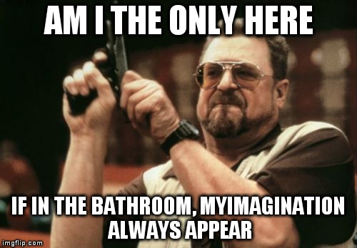 Am I The Only One Around Here Meme | AM I THE ONLY HERE; IF IN THE BATHROOM, MYIMAGINATION ALWAYS APPEAR | image tagged in memes,am i the only one around here | made w/ Imgflip meme maker