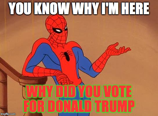 You know why I'm here Spiderman  | YOU KNOW WHY I'M HERE; WHY DID YOU VOTE FOR DONALD TRUMP | image tagged in you know why i'm here spiderman | made w/ Imgflip meme maker