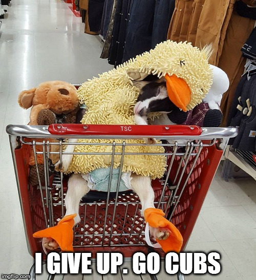 I GIVE UP. GO CUBS | made w/ Imgflip meme maker