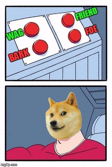 The daily struggle for Doge | image tagged in memes,the daily struggle,doge,friend or foe,wag or bark,dogs | made w/ Imgflip meme maker