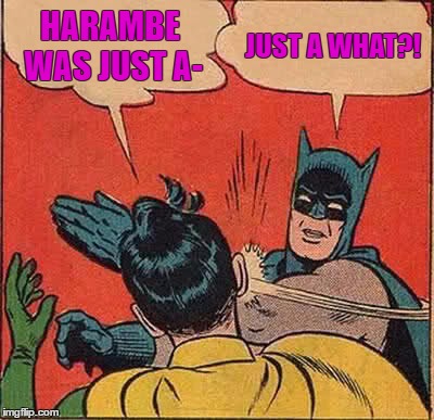 Batman Slapping Robin | HARAMBE WAS JUST A-; JUST A WHAT?! | image tagged in memes,batman slapping robin | made w/ Imgflip meme maker