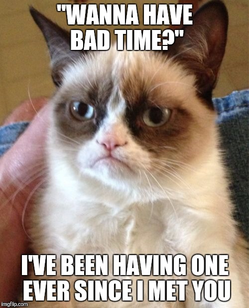 Grumpy Cat Meme | "WANNA HAVE BAD TIME?"; I'VE BEEN HAVING ONE EVER SINCE I MET YOU | image tagged in memes,grumpy cat | made w/ Imgflip meme maker
