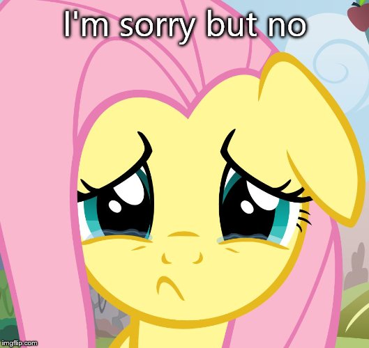 sad fluttershy | I'm sorry but no | image tagged in sad fluttershy | made w/ Imgflip meme maker
