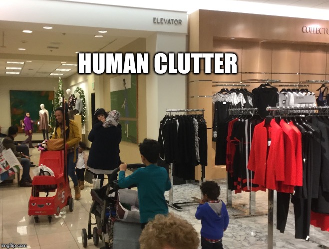 HUMAN CLUTTER | image tagged in human clutter overpopulation,natalism | made w/ Imgflip meme maker