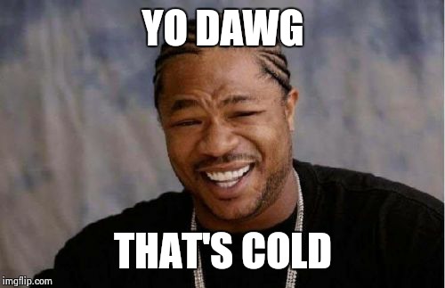 Yo Dawg Heard You Meme | YO DAWG THAT'S COLD | image tagged in memes,yo dawg heard you | made w/ Imgflip meme maker