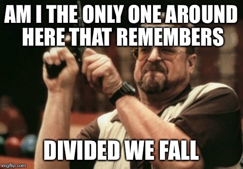 Am I The Only One Around Here | AM I THE ONLY ONE AROUND HERE THAT REMEMBERS; DIVIDED WE FALL | image tagged in memes,am i the only one around here | made w/ Imgflip meme maker