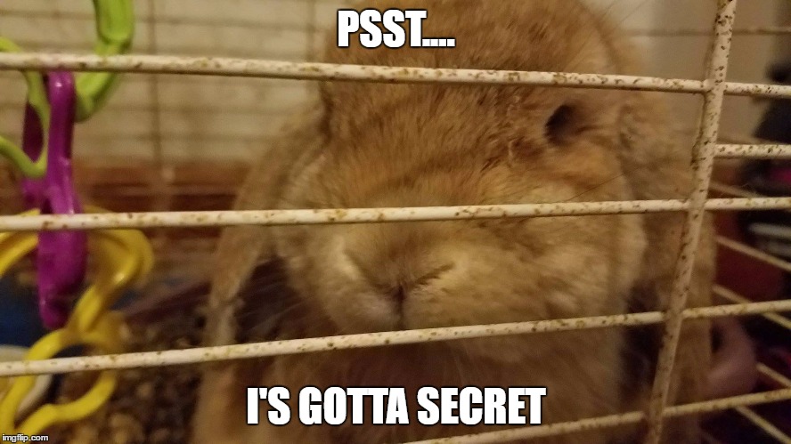 PSST.... I'S GOTTA SECRET | image tagged in midda | made w/ Imgflip meme maker