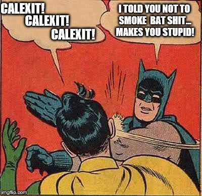 Batman slaps some sense into Robin for smoking bat shit and talking stupid | CALEXIT! I TOLD YOU NOT TO SMOKE  BAT SHIT... MAKES YOU STUPID! CALEXIT! CALEXIT! | image tagged in memes,batman slapping robin,calexit,election 2016 aftermath,fools | made w/ Imgflip meme maker