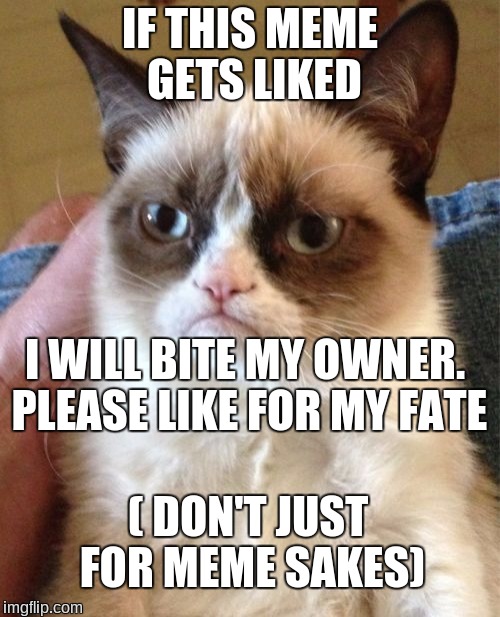 Grumpy Cat Meme | IF THIS MEME GETS LIKED; I WILL BITE MY OWNER. PLEASE LIKE FOR MY FATE; ( DON'T JUST FOR MEME SAKES) | image tagged in memes,grumpy cat | made w/ Imgflip meme maker