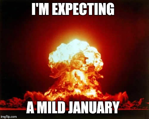 Nuclear Explosion | I'M EXPECTING; A MILD JANUARY | image tagged in memes,nuclear explosion | made w/ Imgflip meme maker