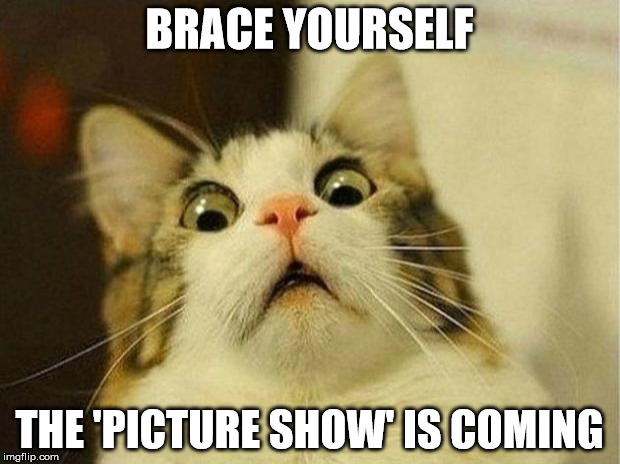 Scared Cat Meme | BRACE YOURSELF; THE 'PICTURE SHOW' IS COMING | image tagged in memes,scared cat | made w/ Imgflip meme maker