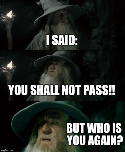 Confused Gandalf Meme | I SAID:; YOU SHALL NOT PASS!! BUT WHO IS YOU AGAIN? | image tagged in memes,confused gandalf | made w/ Imgflip meme maker