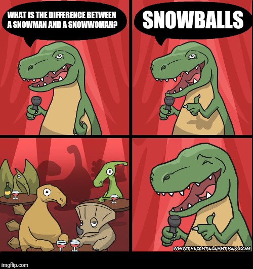 T Rex Standup Comedy Laughing | SNOWBALLS; WHAT IS THE DIFFERENCE BETWEEN A SNOWMAN AND A SNOWWOMAN? | image tagged in t rex standup comedy laughing | made w/ Imgflip meme maker