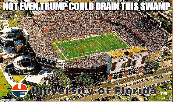 The Swamp | NOT EVEN TRUMP COULD DRAIN THIS SWAMP | image tagged in gators,fsu | made w/ Imgflip meme maker