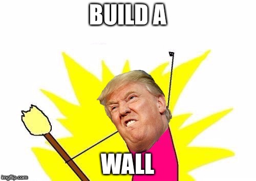 BUILD A; WALL | image tagged in trump x all the y | made w/ Imgflip meme maker