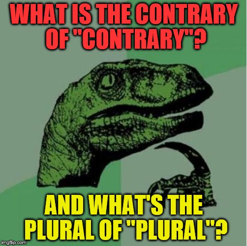 WHAT IS THE CONTRARY OF "CONTRARY"? AND WHAT'S THE PLURAL OF "PLURAL"? | image tagged in if a grammar nazi could help me,that would be great | made w/ Imgflip meme maker