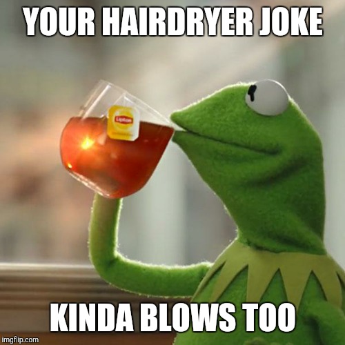 But That's None Of My Business Meme | YOUR HAIRDRYER JOKE KINDA BLOWS TOO | image tagged in memes,but thats none of my business,kermit the frog | made w/ Imgflip meme maker