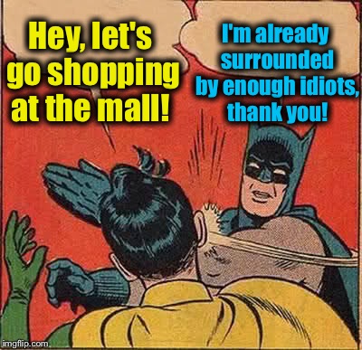 Batman Slapping Robin Meme | Hey, let's go shopping at the mall! I'm already surrounded by enough idiots, thank you! | image tagged in memes,batman slapping robin,evilmandoevil,funny | made w/ Imgflip meme maker