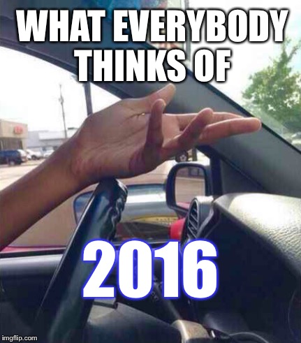 And It All Started With A Gorilla... (The hand gesture: "WTF? REALLY??!") | WHAT EVERYBODY THINKS OF; 2016 | image tagged in wtf driver,memes,2016 | made w/ Imgflip meme maker