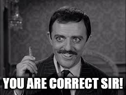 YOU ARE CORRECT SIR! | made w/ Imgflip meme maker