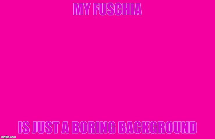 MY FUSCHIA IS JUST A BORING BACKGROUND | made w/ Imgflip meme maker