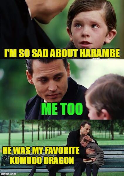 Finding Neverland Meme | I'M SO SAD ABOUT HARAMBE ME TOO HE WAS MY FAVORITE KOMODO DRAGON | image tagged in memes,finding neverland | made w/ Imgflip meme maker