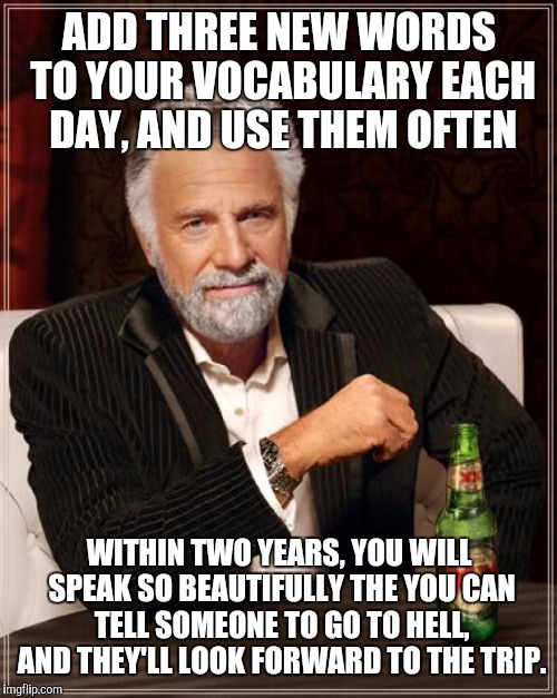 The Most Interesting Man In The World Meme | ADD THREE NEW WORDS TO YOUR VOCABULARY EACH DAY, AND USE THEM OFTEN WITHIN TWO YEARS, YOU WILL SPEAK SO BEAUTIFULLY THE YOU CAN TELL SOMEONE | image tagged in memes,the most interesting man in the world | made w/ Imgflip meme maker