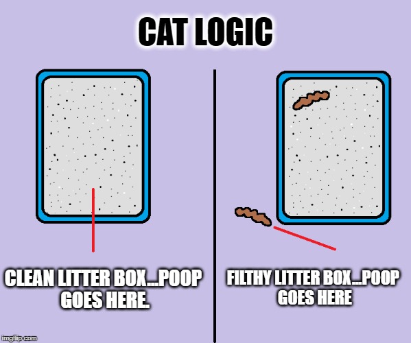 Cat logic | CAT LOGIC; CLEAN LITTER BOX...POOP GOES HERE. FILTHY LITTER BOX...POOP GOES HERE | image tagged in grumpy cat,cats,pets,memes,funny,funny memes | made w/ Imgflip meme maker