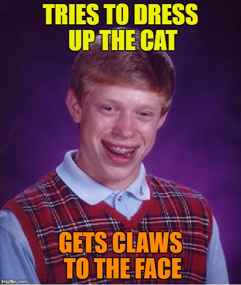 Bad Luck Brian Meme | TRIES TO DRESS UP THE CAT GETS CLAWS TO THE FACE | image tagged in memes,bad luck brian | made w/ Imgflip meme maker