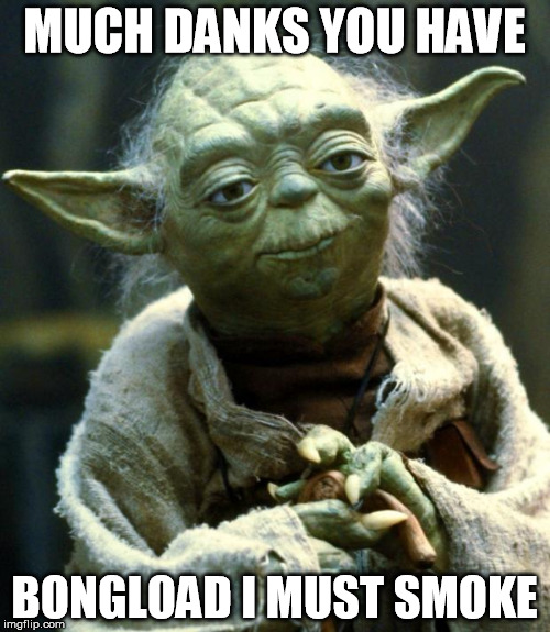 The THC is strong with this one... | MUCH DANKS YOU HAVE; BONGLOAD I MUST SMOKE | image tagged in memes,star wars yoda | made w/ Imgflip meme maker