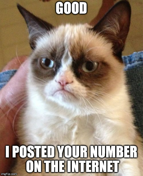 Grumpy Cat Meme | GOOD I POSTED YOUR NUMBER ON THE INTERNET | image tagged in memes,grumpy cat | made w/ Imgflip meme maker