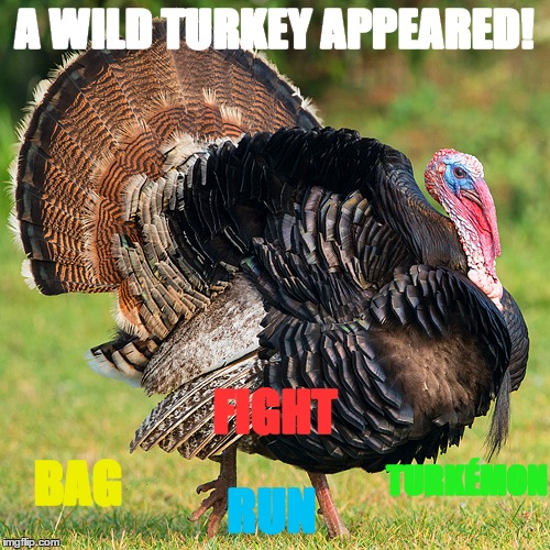 A WILD TURKEY APPEARED! FIGHT BAG RUN TURKÉMON | made w/ Imgflip meme maker