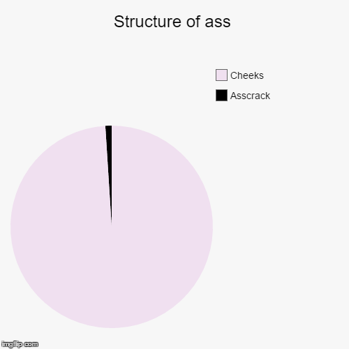 image tagged in funny,pie charts | made w/ Imgflip chart maker