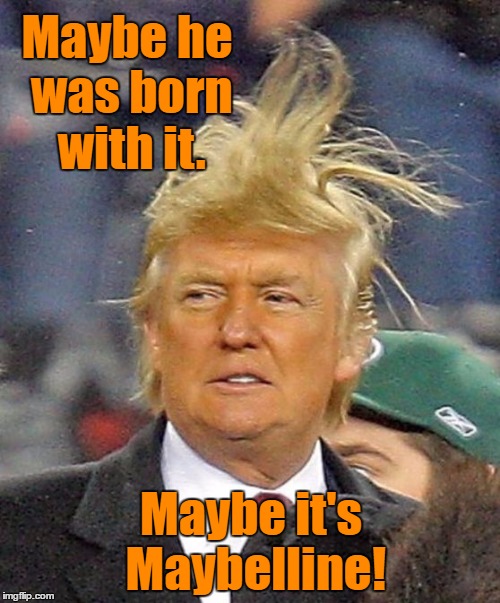The Rouged One | Maybe he was born with it. Maybe it's Maybelline! | image tagged in donald trumph hair | made w/ Imgflip meme maker