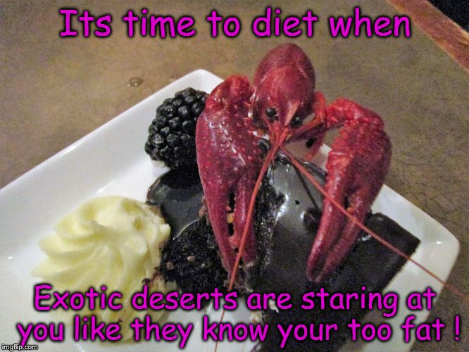 Its time to diet when; Exotic deserts are staring at you like they know your too fat ! | image tagged in exotic deserts | made w/ Imgflip meme maker