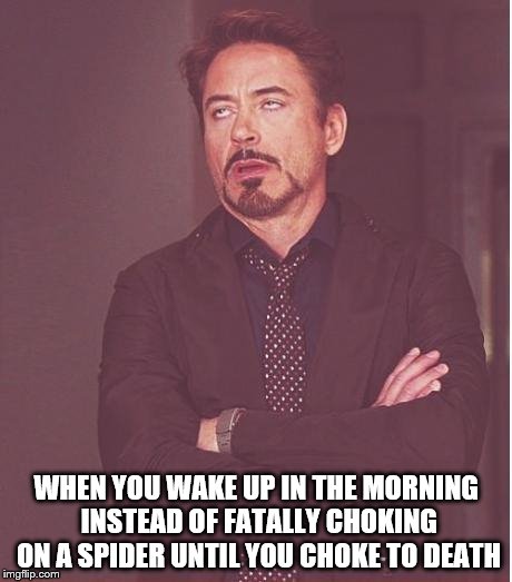 Face You Make Robert Downey Jr | WHEN YOU WAKE UP IN THE MORNING INSTEAD OF FATALLY CHOKING ON A SPIDER UNTIL YOU CHOKE TO DEATH | image tagged in memes,face you make robert downey jr | made w/ Imgflip meme maker