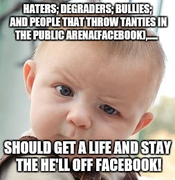 Skeptical Baby Meme | HATERS; DEGRADERS; BULLIES; AND PEOPLE THAT THROW TANTIES IN THE PUBLIC ARENA(FACEBOOK),..... SHOULD GET A LIFE AND STAY THE HE'LL OFF FACEBOOK! | image tagged in memes,skeptical baby | made w/ Imgflip meme maker