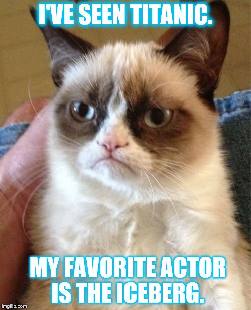 Grumpy Cat | I'VE SEEN TITANIC. MY FAVORITE ACTOR IS THE ICEBERG. | image tagged in memes,grumpy cat | made w/ Imgflip meme maker
