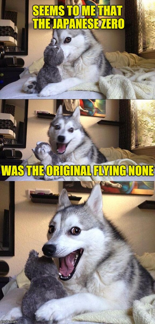 It's okay Sally Field, we still like you!  | SEEMS TO ME THAT THE JAPANESE ZERO; WAS THE ORIGINAL FLYING NONE | image tagged in memes,bad pun dog,japanese zero,flying nun | made w/ Imgflip meme maker