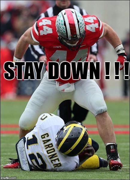 Thee Ohio State University | STAY DOWN ! ! ! | image tagged in ohio state,ttun | made w/ Imgflip meme maker