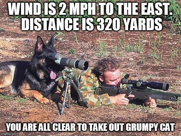 WIND IS 2 MPH TO THE EAST. DISTANCE IS 320 YARDS YOU ARE ALL CLEAR TO TAKE OUT GRUMPY CAT | made w/ Imgflip meme maker