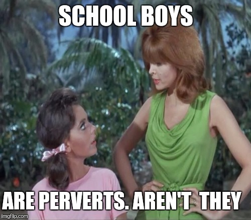 SCHOOL BOYS ARE PERVERTS. AREN'T  THEY | made w/ Imgflip meme maker