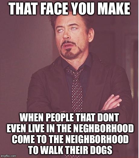 Face You Make Robert Downey Jr Meme | THAT FACE YOU MAKE; WHEN PEOPLE THAT DONT EVEN LIVE IN THE NEGHBORHOOD COME TO THE NEIGHBORHOOD TO WALK THEIR DOGS | image tagged in memes,face you make robert downey jr | made w/ Imgflip meme maker