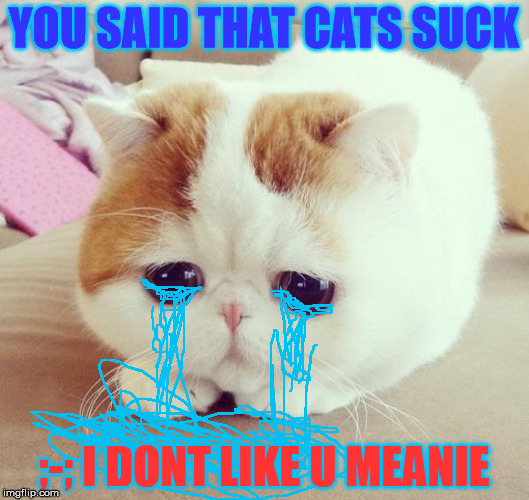 Sad Cat | YOU SAID THAT CATS SUCK; ;-; I DONT LIKE U MEANIE | image tagged in sad cat | made w/ Imgflip meme maker