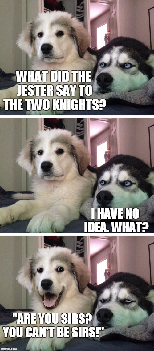 I Sirsly Don't Get It | WHAT DID THE JESTER SAY TO THE TWO KNIGHTS? I HAVE NO IDEA. WHAT? "ARE YOU SIRS? YOU CAN'T BE SIRS!" | image tagged in bad pun dogs | made w/ Imgflip meme maker