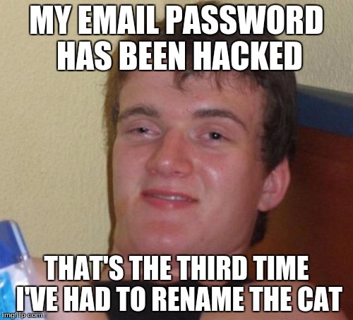 10 Guy | MY EMAIL PASSWORD HAS BEEN HACKED; THAT'S THE THIRD TIME I'VE HAD TO RENAME THE CAT | image tagged in memes,10 guy | made w/ Imgflip meme maker