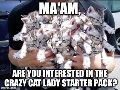 Crazy cat lady started pack (pre-order now!) | MA'AM, ARE YOU INTERESTED IN THE CRAZY CAT LADY STARTER PACK? | image tagged in kittens | made w/ Imgflip meme maker